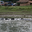 India & Nepal 2011 - 0607
